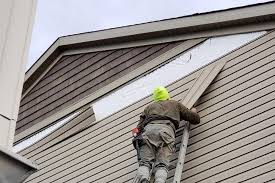 Storm Damage Siding Repair in Willow, AK